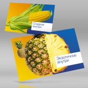 рекламная концепция - LaFedja