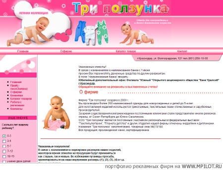  Образец портфолио - Интернет и мультимедиа. Веб-студия ФРИЛАНСЕР - Краснодар