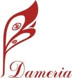Дамерия Информационное агентство Логотип Дамерия Информационное агентство